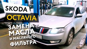 Замена масла и масляного фильтра в двигателе автомобиля Skoda Octavia 1,8 TSI