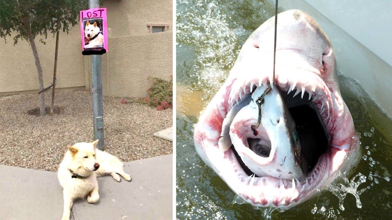 Совпадения На Миллион. Часть 4 смотреть онлайн