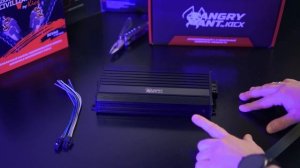 Kicx Angry Ant 4.100 - Имеет ли значение размер?