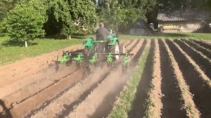 Ежи на картофеле погубят ваш урожай // Как этого избежать