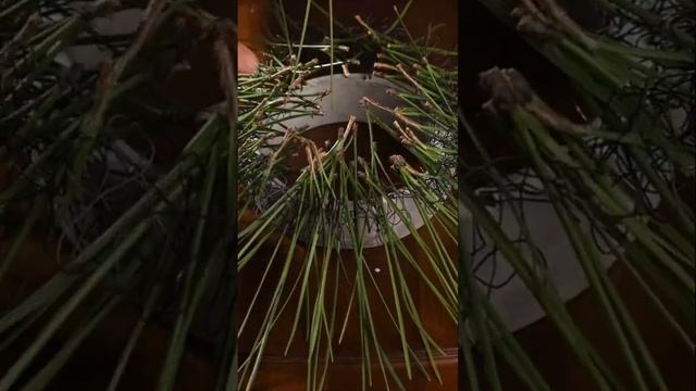 Новогодняя композиция своими руками ❤️ смотреть онлайн