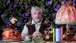 С. Савельев. Как устраивать надзор над умными