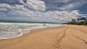 Sri Lankan Paradise , Marakolliya Beach in Tangalle