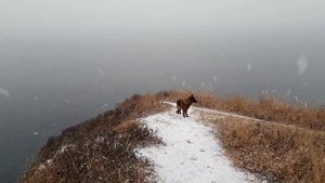 Мыс Шмидта. Остров Русский.