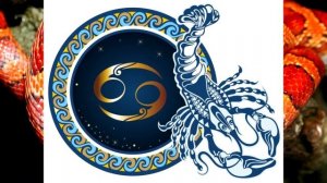 Год Змеи – описание и характеристика знака