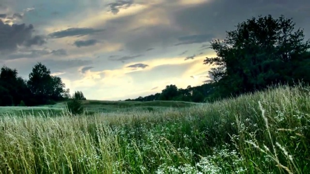 ВАСИЛЬКОВЫЙ РОМАН смотреть онлайн