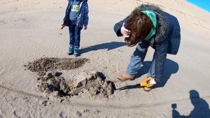 Нашли клад на Капчагае. Новые приключения. Из Алматы в Капшагай