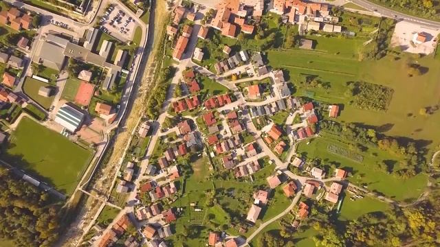 Брошенная собака надеялась найти людей, но попала в страшную ловушку, которая стала для неё роковой смотреть онлайн