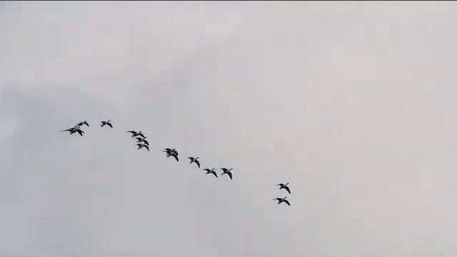 Удивительное рядом. Осенний выпуск.