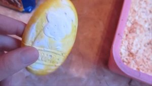 Как ухаживать за морскими свинками. Подстилка.