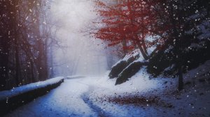 Новогоднее настроение, красивая и расслабляющая мелодия пианино. Музыка для души.