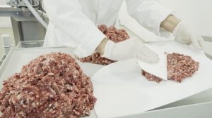 Пельменный аппарат СД-250 - КБ Технология