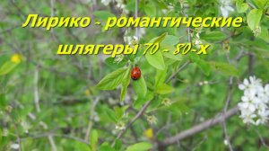 Лирико   романтические шлягеры 70 80 х
