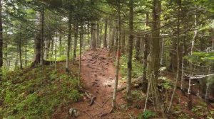 Питание на половом воздержании это основа , которая играет важную роль. #воздержание#цель#сила#путь