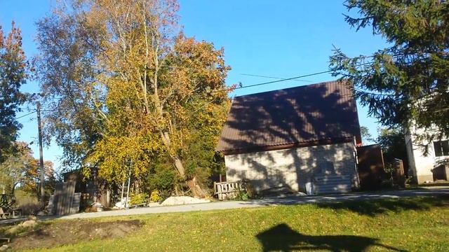 Сосед пилит дерево. смотреть онлайн