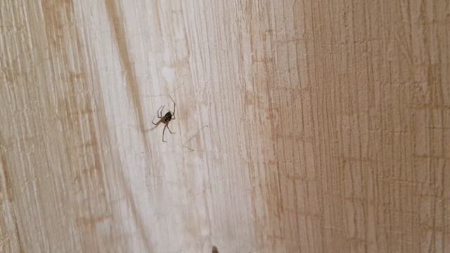 Как перестать их бояться
