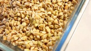 ВСЁ о гречке, ПОЛЬЗА зеленой гречки, как проращивать, как готовить гречку #пп