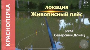 Русская рыбалка 4 - река Северский Донец - Красноперка под домиками