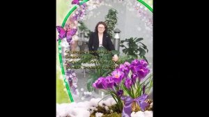 С Днем рождения, Галина Сергеевна!