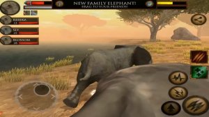 Elephant VS Lion, Cheetah, Hippo, Rhino, Ultimate Savanna Simulator
