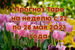 Прогноз Таро на неделю с 22 по 28 мая 2023 года.
