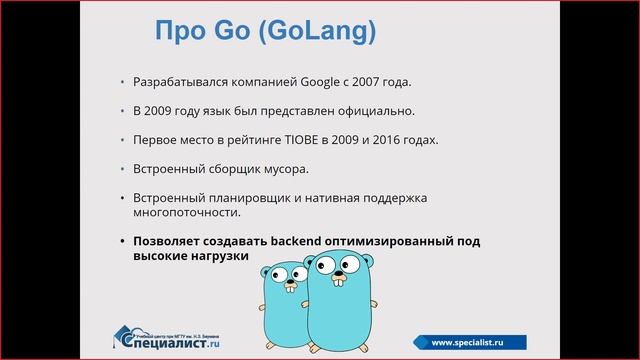 Путь Go-разработчика