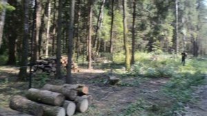 КП "Лисья Горка" Протасово Дмитровское шоссе