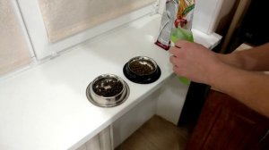 Эксперимент корма Farmina vs Alleva