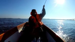 Рыбалка на Волге - поплавочная удочка, остров Катлубан (Саратов)