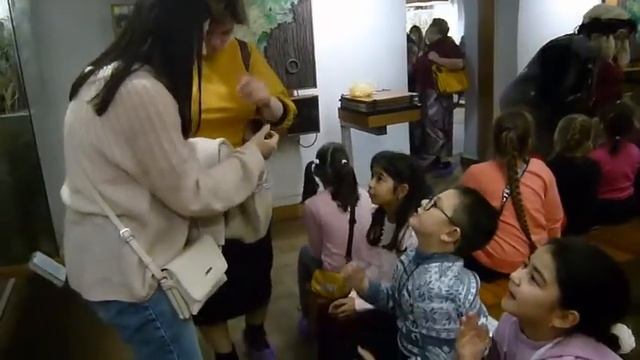 В краеведческом музее - экскурсия для младших школьников