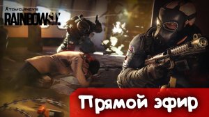 Тактика обучение новичков  Кибер и Серый | Rainbow SIx Siege | Стрим |