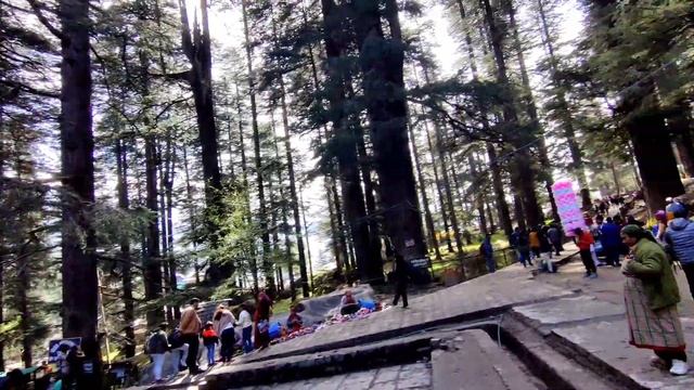 A Taste of History! Hadimba Devi Temple and Authentic Local Food! bengali vlogger