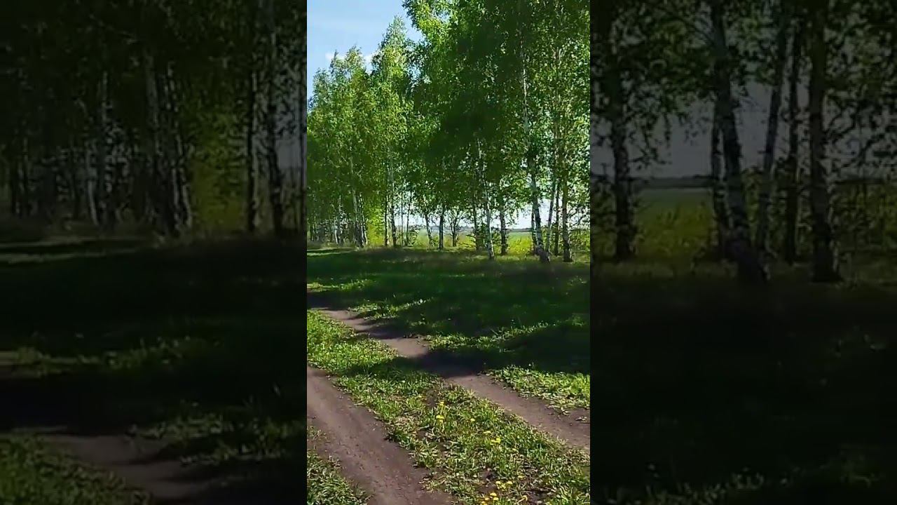Кондак "Взбранной Воеводе"