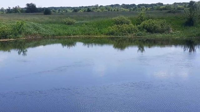 26 ноября 2023 г. смотреть онлайн