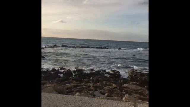 Этюд-картина № 2 (автор музыки: Шкондина Д.В.) смотреть онлайн