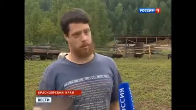 Веселый Молочник про сыр смотреть онлайн