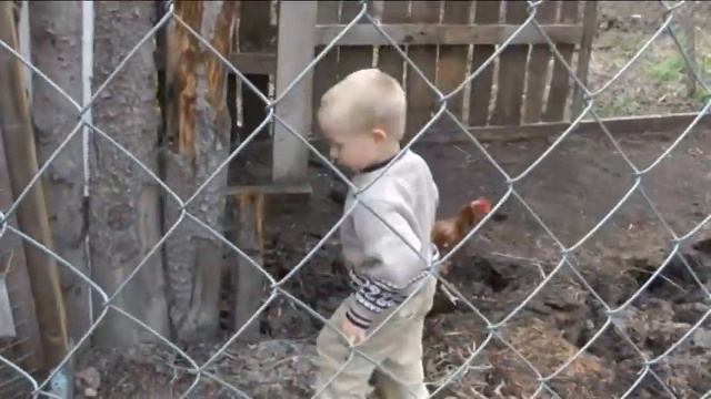 26 апреля день дети и животные. смотреть онлайн