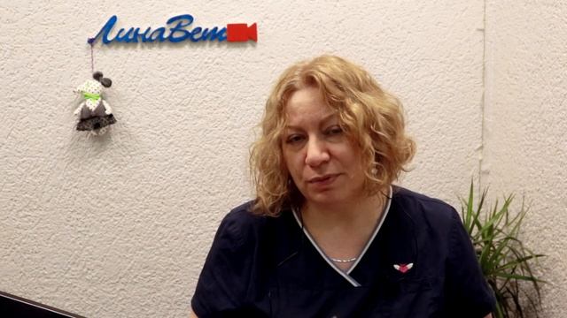 Можно ли брать взрослую собаку из приюта