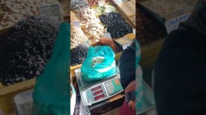 саженцы фисташки морозостойкой.