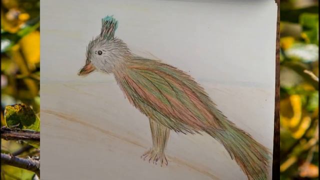 Сказка Владимира Чугунова Планета птиц, планета звуков, музыки, песен, планета нот и мелодий смотреть онлайн