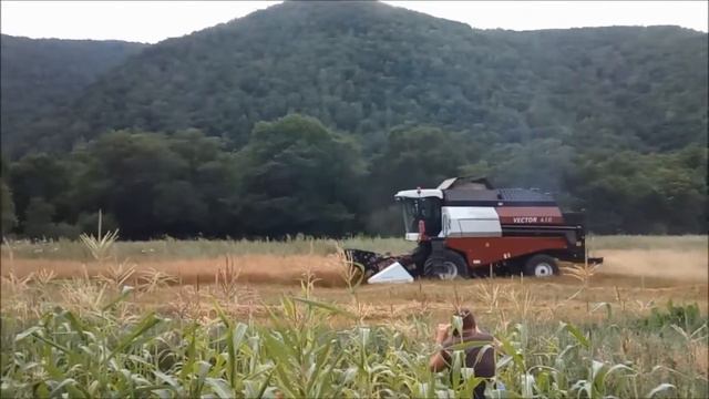 Комбайн Россельмаш Vector 410 убирает овес на большой скорости