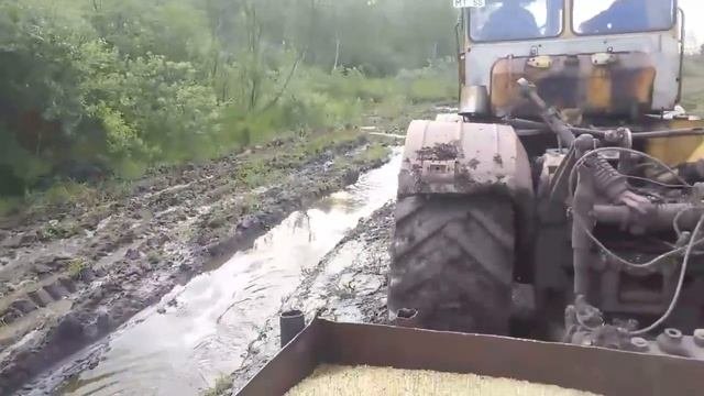 Посевная 2018 Омская область  Знаменский  район деревня  Котовщиково