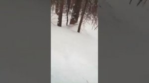 Снегоход STELS V800 VIKING  по слузу.