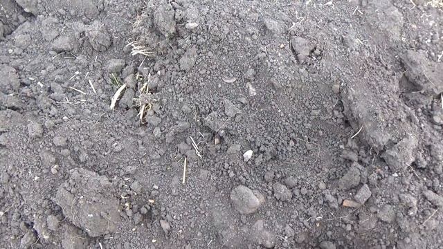 МОНЕТЫ ОДНА ЗА ОДНОЙ! ПОЛЕВОЙ ХУТОР! смотреть онлайн