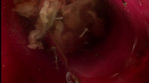 Бромелия - растение без корней