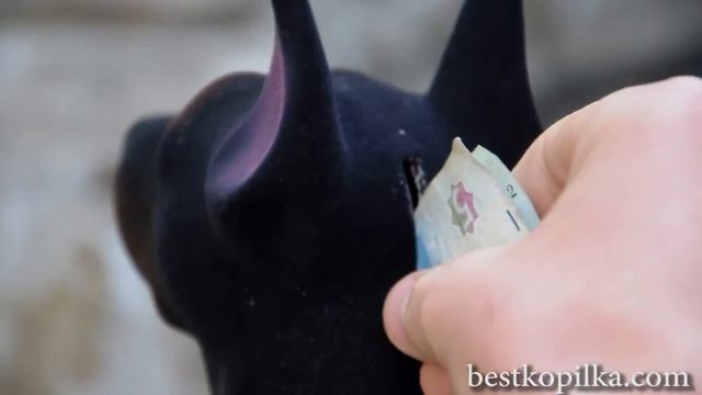 Обзор керамической копилки Доберман смотреть онлайн