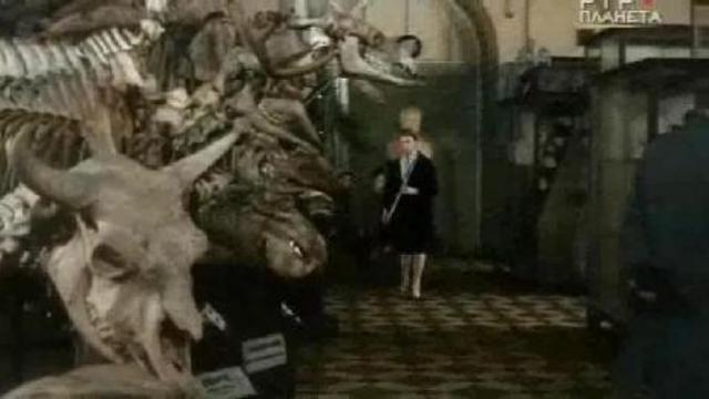 владелец Мерседес бенц ( цветной Штирлиц )