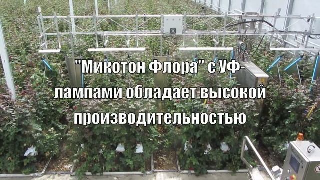 Новинка - "Микотон Флора" с УФ-лампами смотреть онлайн