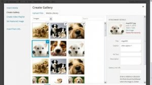 Add WordPress Image Gallery