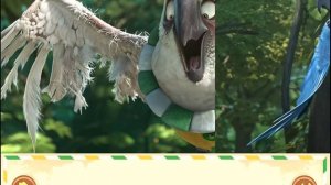 Rio 2 Movie: Official Rio 2 App: Storybook & Games for Kids